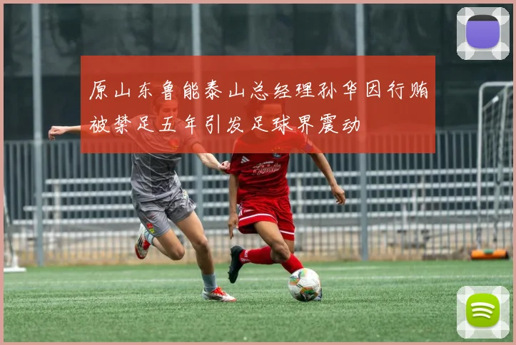 原山东鲁能泰山总经理孙华因行贿被禁足五年引发足球界震动