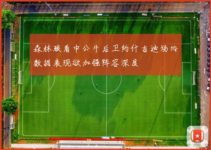 森林狼看中公牛后卫约什吉迪场均数据表现欲加强阵容深度