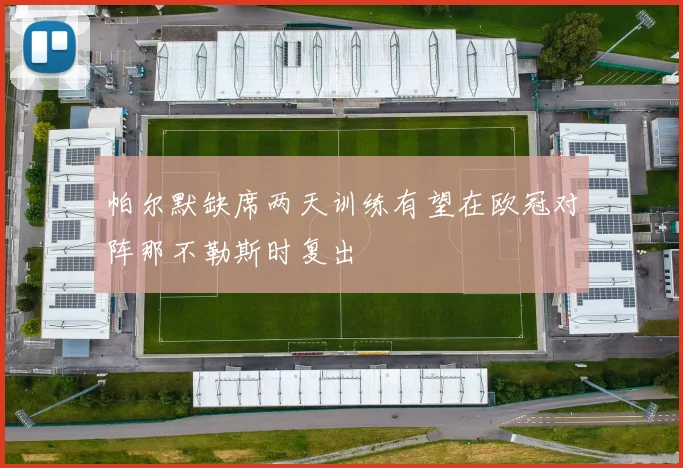 帕尔默缺席两天训练有望在欧冠对阵那不勒斯时复出